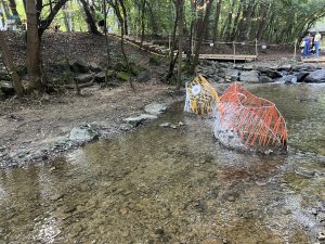 China Eastern пуска директни полети между Шанхай и Аделаида