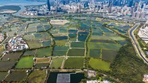 Представени са мерки за рационализиране на процедурите за земеползване в Северния метрополис